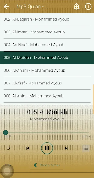 Muhammad Ayoub Quran Offline Screenshot 2