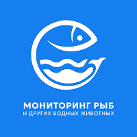 eFish