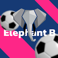 Elephant bet