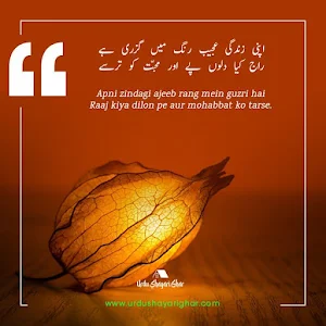 Dard Bhari Udaas Shayari Screenshot 1