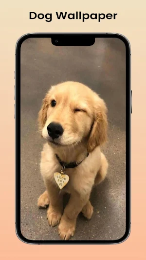 Dog Wallpaper Aesthetic Screenshot 1