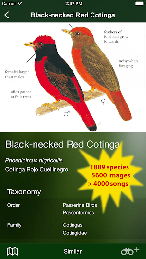 All Birds Colombia - A Sunbird Field Guide Screenshot 1
