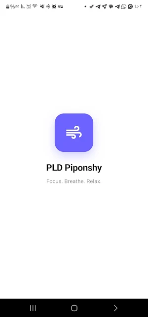 PLD Piponshy Flaper Screenshot 3