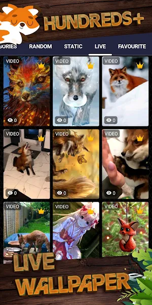 fox background Screenshot 2