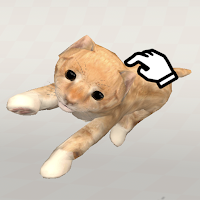 Carry Cats