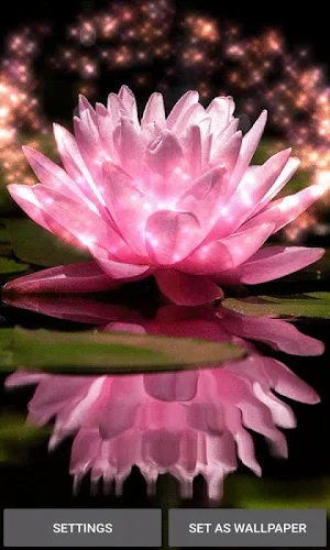 Magical Pink Flower LWP Screenshot 0