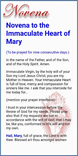 Immaculate Heart of Mary Screenshot 1