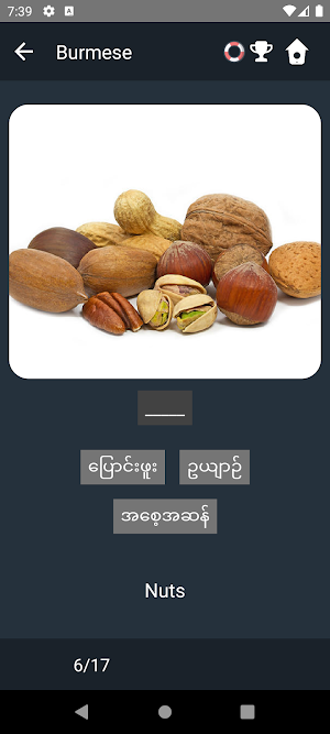 Burmese Language Tests Screenshot 3