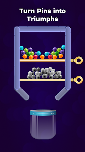 Pin Unlock & Fill Screenshot 1