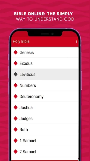 Holy Bible in English Screenshot 2