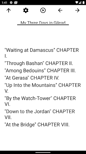 Book, My Three Days in Gilead Screenshot 0