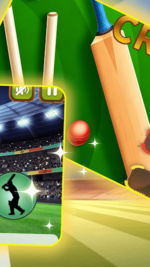 Cricket Bat Fury Screenshot 2