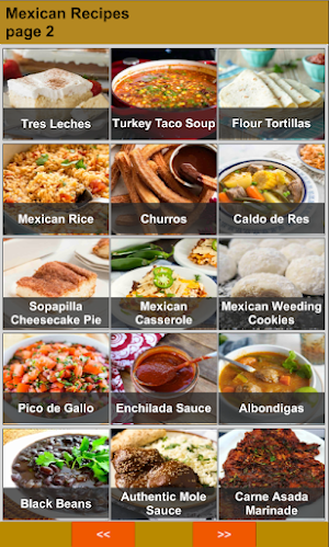 Mexican Recipes Screenshot 1