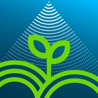 Bayer Spray