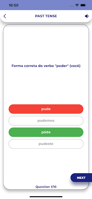Portuguese GrammarーLesson・Test Screenshot 3