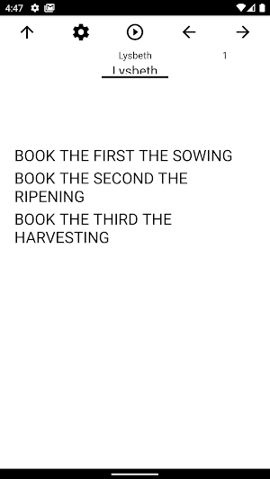 Book, Lysbeth Screenshot 0
