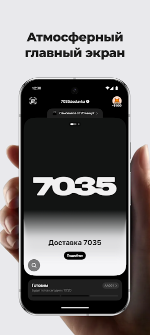 7035 Screenshot 0