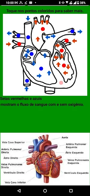 Coração de quem ? Screenshot 1