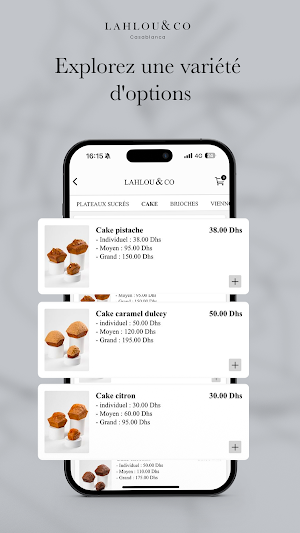 LAHLOU AND CO Screenshot 1