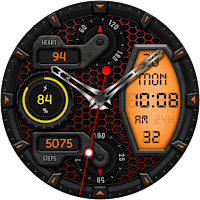 Hybrid SKARTUM  Watch face