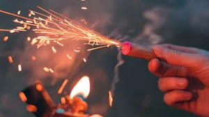 Loud firecracker sounds screenshot 1
