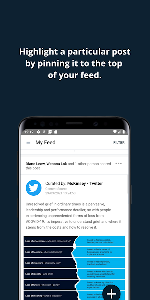 McKinsey Amplify Screenshot 2