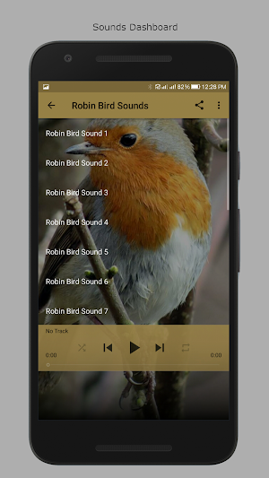 Robin Bird Sounds Screenshot 1