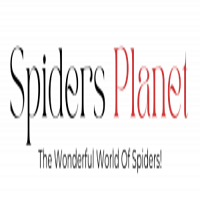 Spiders Planet: Explore World