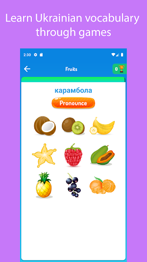 Learn Ukrainian For Beginners Screenshot 2