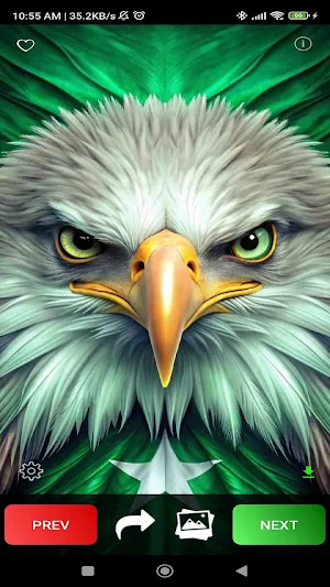 Pakistan Wallpapers Screenshot 1