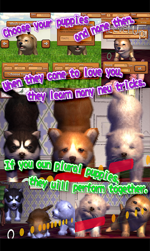 Animal Dance puppies Screenshot 3