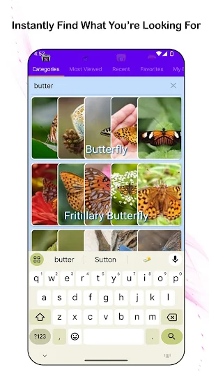 Wild Wonders: Insects Screenshot 3