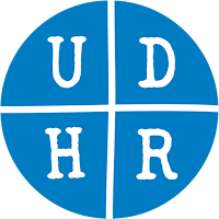UDHR Wall Flag