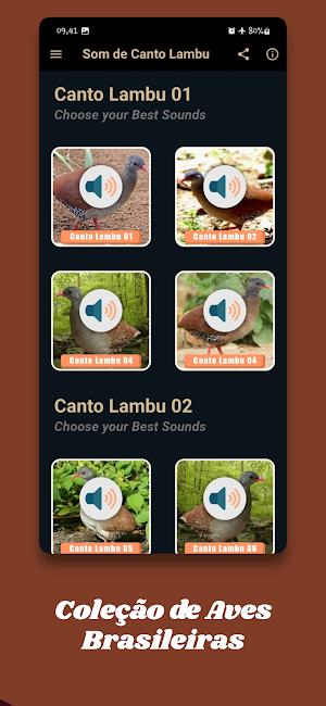 Som de Canto Lambu Screenshot 1