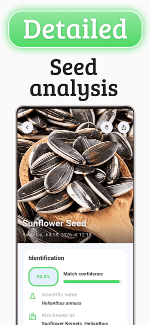 Seed Identifier: Seedorf Screenshot 1