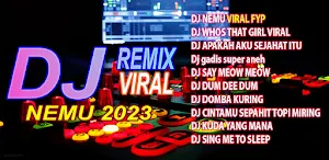 DJ NEMU VIRAL OFFLINE Screenshot 0