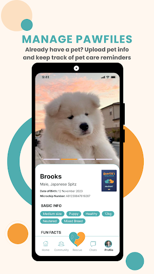 Bearlot’s Furry Friends Screenshot 2
