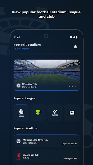 Football Stadium: in the World Screenshot 0