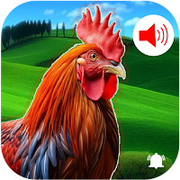 Rooster Sound - Ringtones