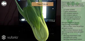AR Sayur Hidroponik Screenshot 0