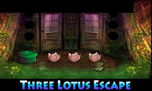Escape Game-Three Lotus Screenshot 3