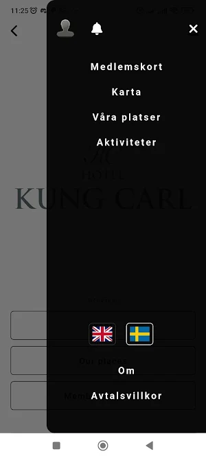 Kung Carl Icons Screenshot 2