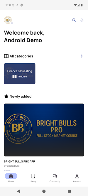BRIGHT BULLS Screenshot 2