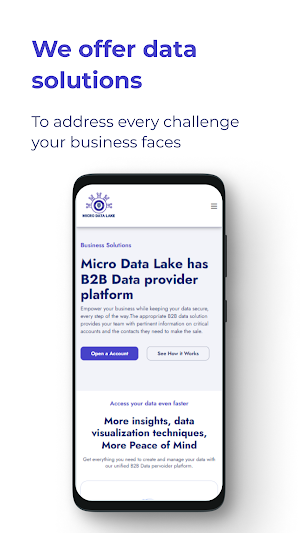 MicroDataLake Screenshot 2