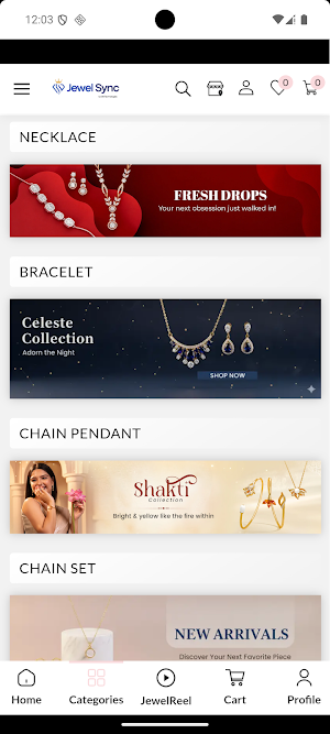 JEWELSYNC RETAIL Screenshot 2