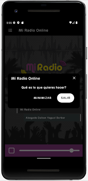 Mi Radio Online Screenshot 3