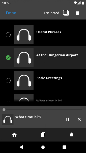 Fast - Speak Hungarian Screenshot 2