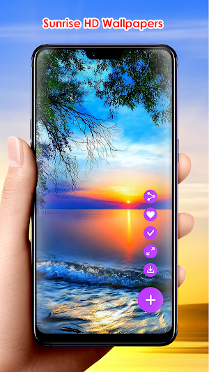Sunrise HD Wallpapers Screenshot 1