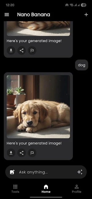 AI Nano Banana Screenshot 3