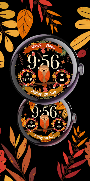 Autumn Owl - ReS80 Screenshot 0